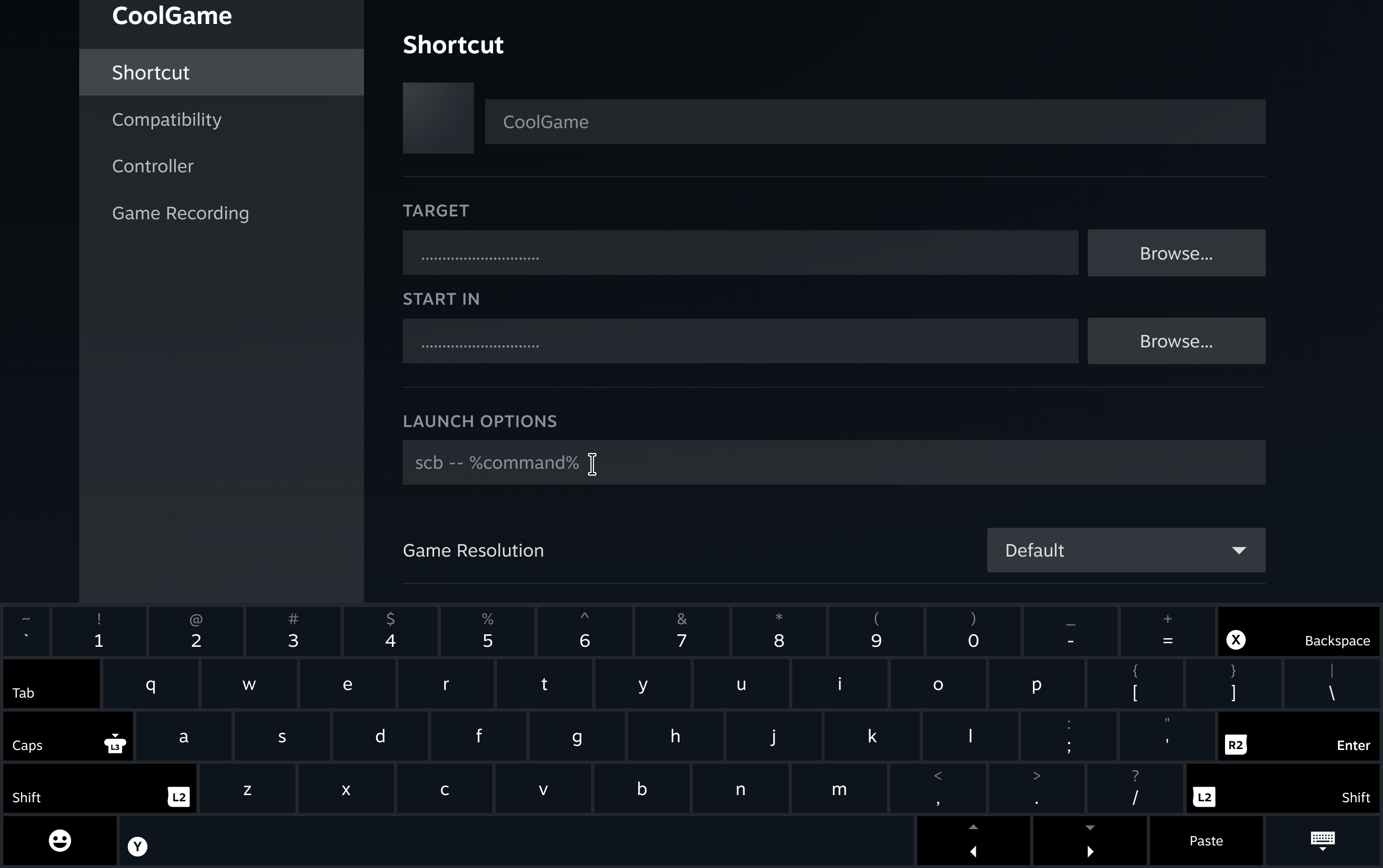 Steam Launch Options Example