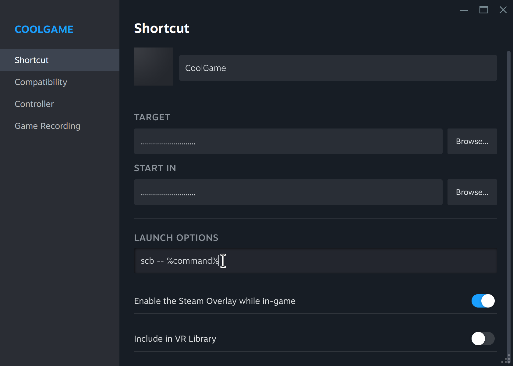 Steam Launch Options Example
